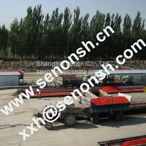 Good Manufacturer Tomato Paste Production Line thumbnail-4