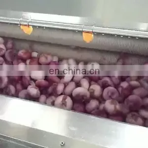 Automatic Taro Washing Peeler/Peanut Cleaner Washing Machine/Carrot Washer Machine thumbnail-1