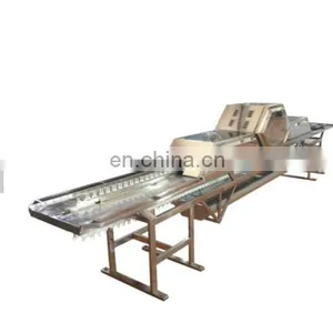 Factory Professional Selling Full-function Hen Egg/Duck Egg/Salted Duck Egg Washing Machine thumbnail-1