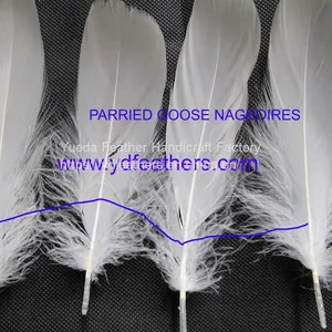 Parried Goose Nagoires Feather White From China thumbnail-1