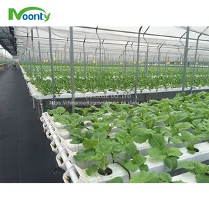 Farm Hydroponics thumbnail-1