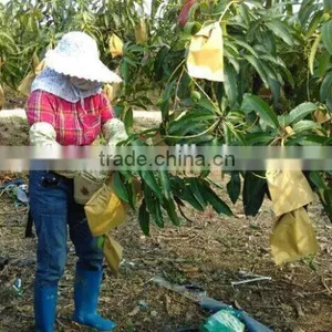 Different Sizes Fruit Protection Paper Bag thumbnail-5