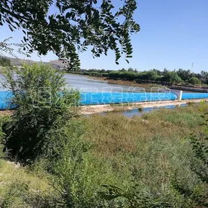 Customized Hydraulic Elevator Dam-- thumbnail-4