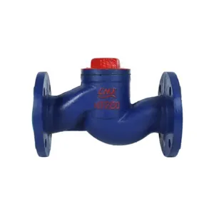 DIN 3202 Gg25 Meatal Seat Swing Check Valve Pn16 Silent Check Valve Lift Check Valve thumbnail-1