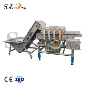Turnkey Project Industrial Palm Dates Processing Machine Full Automatic Dates Washing Grading Pitting Packing Production Line thumbnail-2