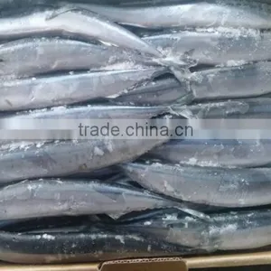 2015 Seafrozen Pacific Saury Whole Round 0#:140g+ thumbnail-2