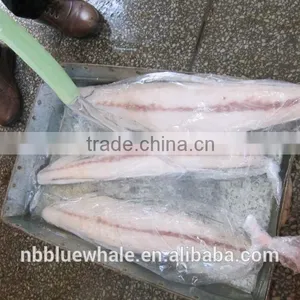 Fresh Frozen Oilfish Fillets Hot Saleing thumbnail-1