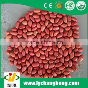 Best Peanut Kernel and Lowest Price Round Peanuts thumbnail-1