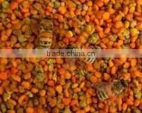 Best Bee Pollen for Bees thumbnail-1