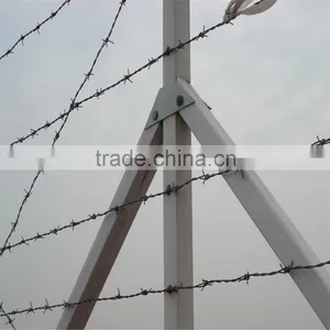 Hot Sales Galvanized or PVC Barbed Iron Wire thumbnail-4