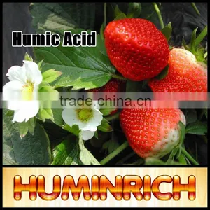 Huminrich Shenyang Brand Refined Leonardite Source Bio Organic Manure thumbnail-2