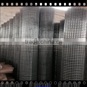 Best Quality Pvc Coated Welded Wire Mesh 3/4 Inch thumbnail-3