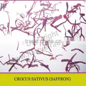SAFFRON thumbnail-1