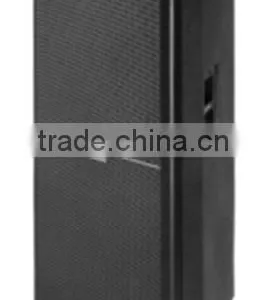 Professional Speaker thumbnail-2