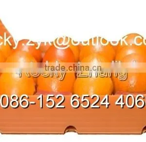 Corrugated PP Orange Package Box Packing Carton for Orange thumbnail-2