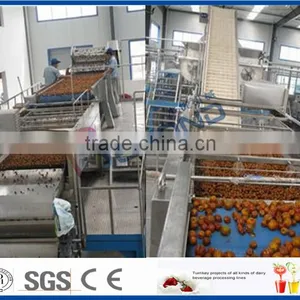 Date Syrup Processing thumbnail-2