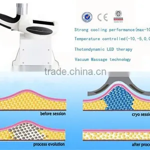 Fat Less Machine Advance Cryo Flabby Skin Freeze Cryolipolysis Cryo Lipolysis Machine Body Shaping thumbnail-6