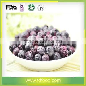Freeze-Dried Blueberry thumbnail-2