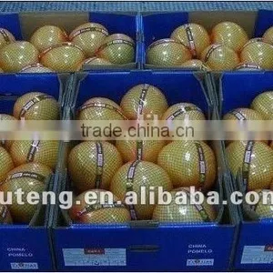 Chinese Fresh Pomelo Honey Pomelo Juicy Pomelo for Sale thumbnail-5