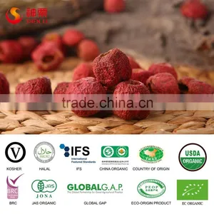 Hot Sale Freeze-dried Organic Whole Pitted Hawthorn Berry thumbnail-4