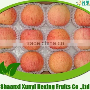Fresh Apple Different Varieties Different Size With Best Price thumbnail-1