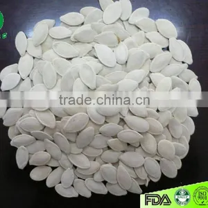 Wholesale Price Pumpkin Seeds thumbnail-1