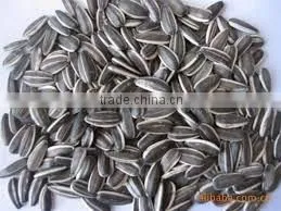 Bulk Buy Chinese Sunflower Seeds 5009 Sunflower Seeds thumbnail-1