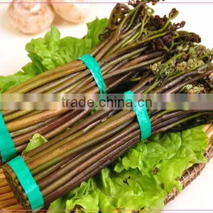 Salted Bracken(warabi) thumbnail-1