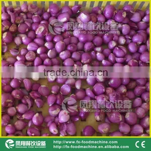 FX-128 CE Approved Garlic Peeling Skin Removal Removing Machine thumbnail-6