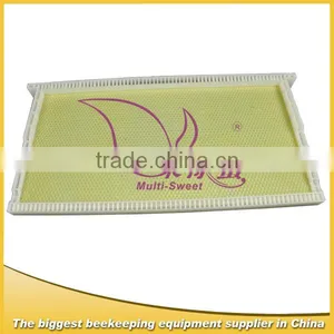 Plastic Frame With Foundation thumbnail-1