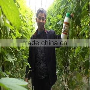 Qingdao Manufacturer Liquid Chitosan Fertilizer thumbnail-1