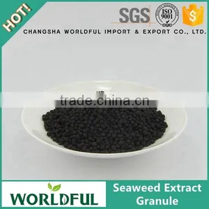 Growing Agent Seaweed Extract Fertilizer, 100% Pure Nature Seaweed Extract Granule thumbnail-1