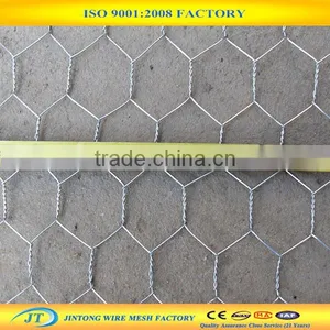 Fishing Net Wire Non Galvanized Chicken Wire Meshes Plastic Chicken Wire Mesh thumbnail-3
