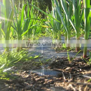 PP Plastic Anti Weed Mat thumbnail-6