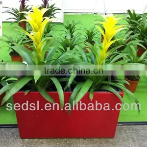 Corner Planter,decorative Flowerpot,assembling Flower Pot thumbnail-1