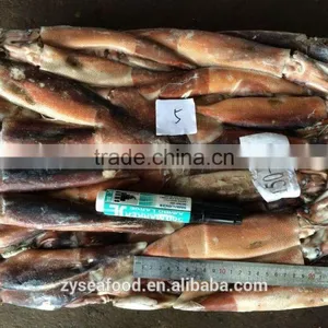 HACCP Frozen Cargo Argentine Squid by Glazing thumbnail-2