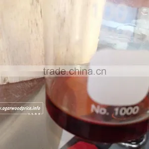 Agarwood Plantation thumbnail-1