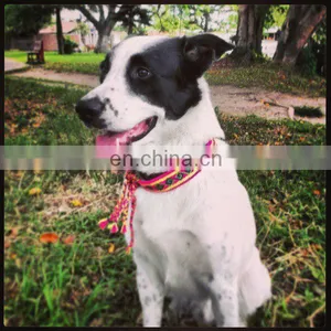 Mochilas Wayuu, Colombian Bags, Dog Collar thumbnail-1