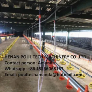 Cameroon Poultry Farm Automatic Broiler Chicken Plastic Salt Floor System With Automatic Nipple Drinker System & Feeding Pan System in Chicken Coop thumbnail-3
