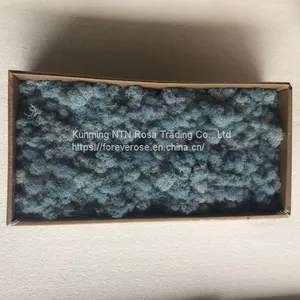 DIY Easy Flower Handicraft With Preserved Moss thumbnail-1