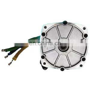 48V 60V 72V 3KW Chinese Factory Direct Sale High Quality Brushless dc Motor for Electric Vehicle thumbnail-4