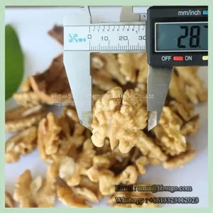 Top Grade Walnut Kernel Halves Walnut Kernel thumbnail-1