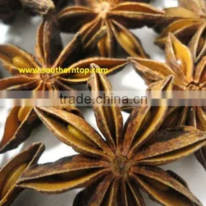 STAR ANISEED thumbnail-1