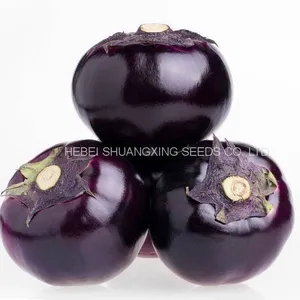 Round Shape Purple Eggplant Seeds Vegetable Seeds thumbnail-2
