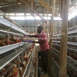Battery Layer Chicken Cages Rearing 10000 Layers for Poultry Farm thumbnail-1