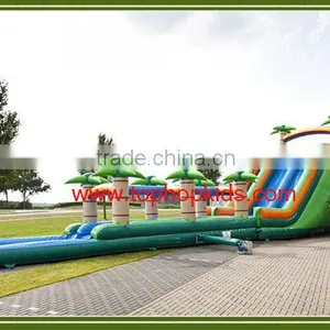 Factory Supply Giant Inflatable Water Slide With Pool thumbnail-2