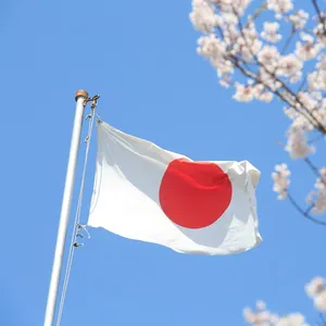 Sea, Air Services From China to Japan Amazon FBA Service DDP/DDU thumbnail-1