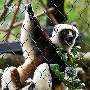 High Strength Stainless Steel Zoo Mesh for Tiger, Lion, Leopard, Monkey Enclosure Mesh Zoo Fence thumbnail-2