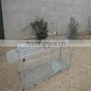 Animal Trap thumbnail-1