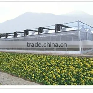 Commercial Polycarbonate Greenhouse thumbnail-3